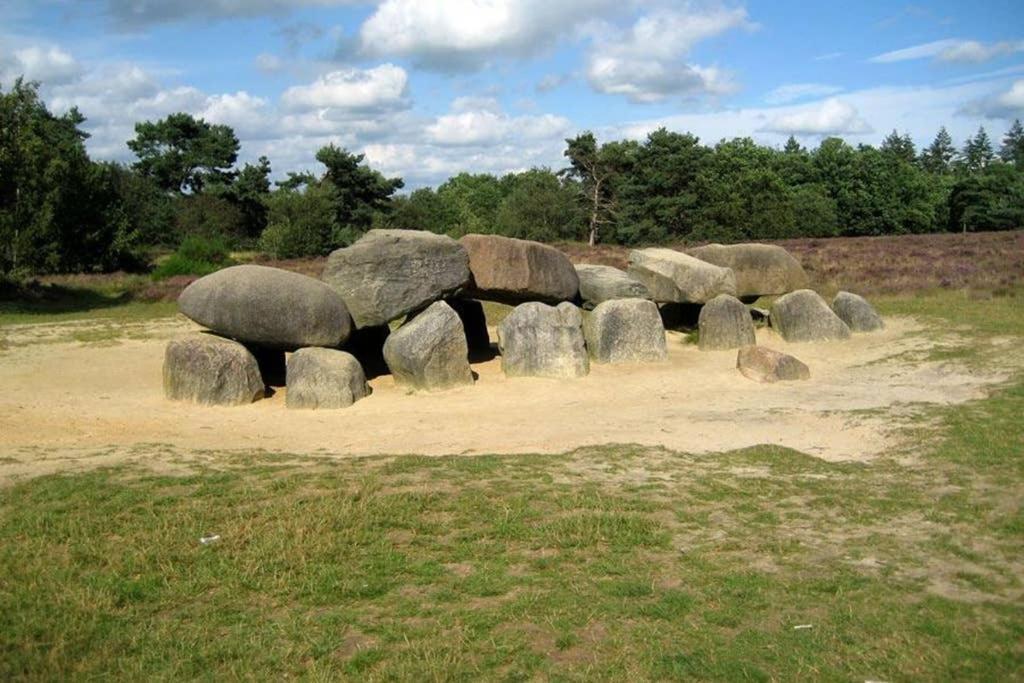 Rustig Gelegen Bungalow In Mooi Havelte מראה חיצוני תמונה